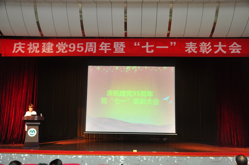 电子游戏平台党委隆重举行庆祝建党95周年暨“七一”表彰大会