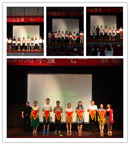 电子游戏平台党委隆重举行庆祝建党95周年暨“七一”表彰大会